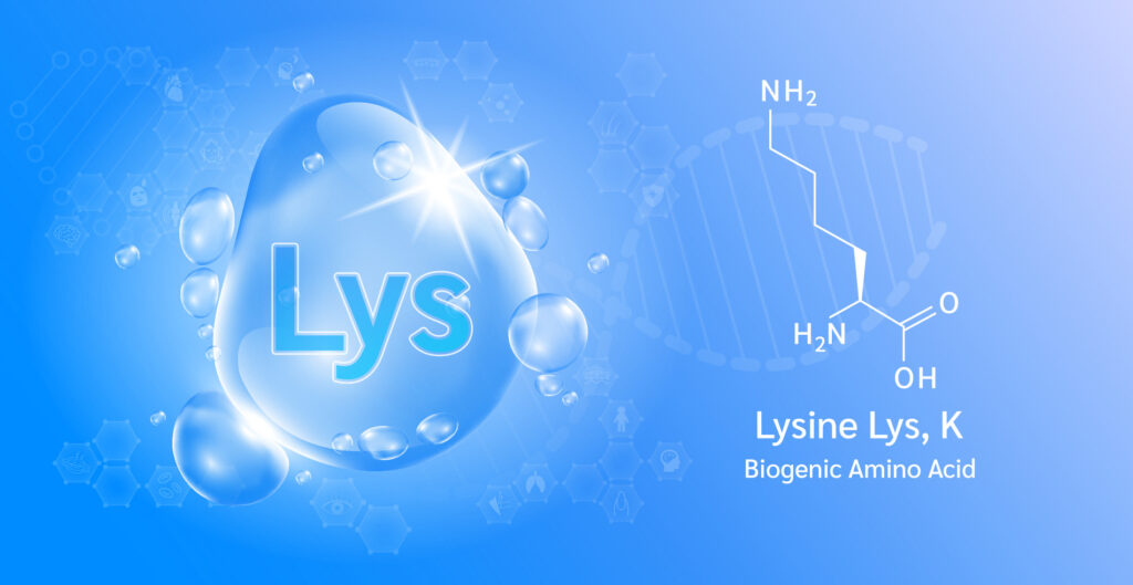 Lysine, L-Lysine in skin care: What You Need To Know