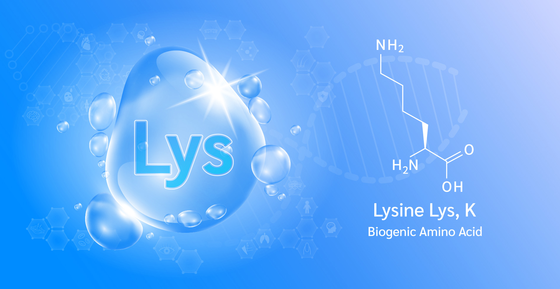 Lysine, L-Lysine in skin care: What You Need To Know