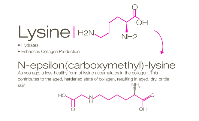 Lysine, L-Lysine in Skin Care: What You Need to Know 1 Lysine, L-Lysine: What You Need to Know