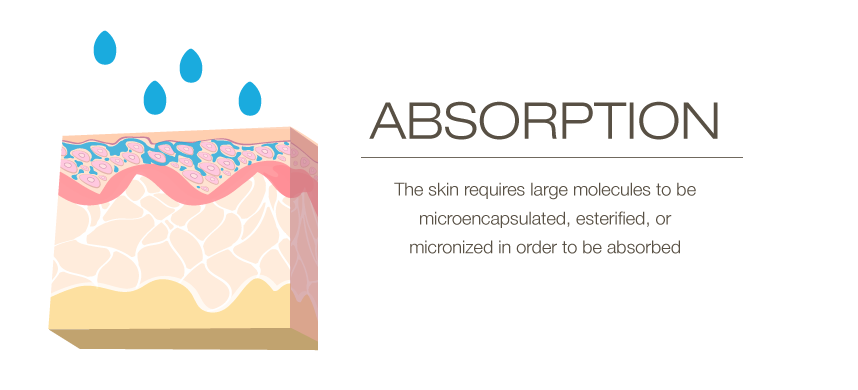 Why Amino Acids are Better for Your Skin Than Protein 1 absorption