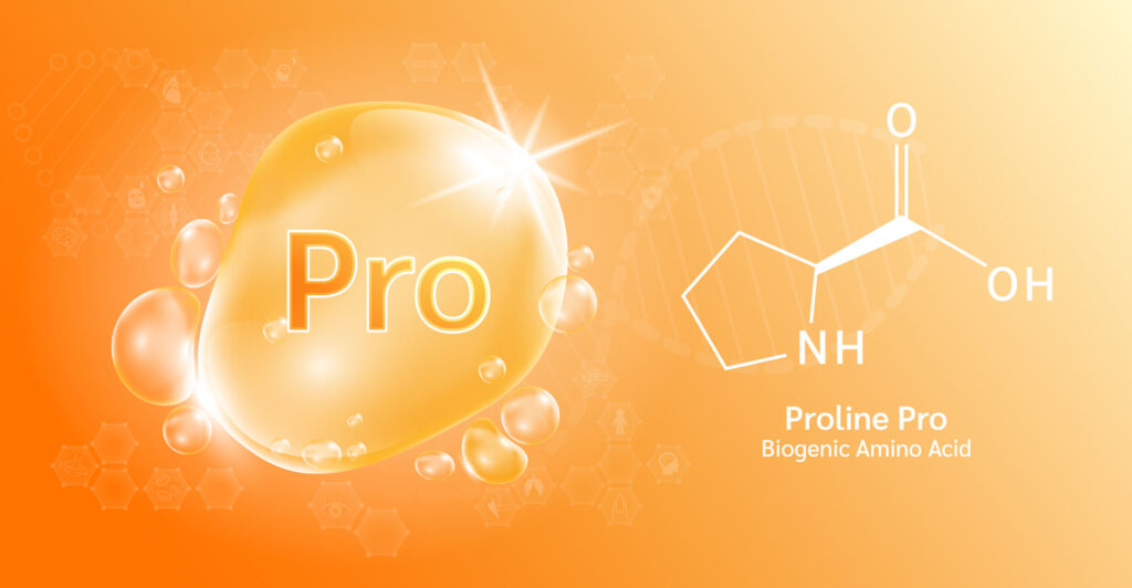 Proline, L-Proline (Amino Acid): What Proline Does in Skin Care