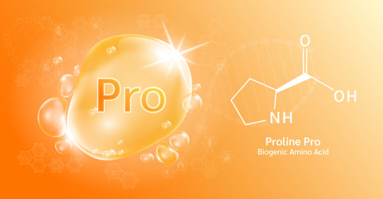 Proline, L-Proline (Amino Acid): What Proline Does in Skin Care