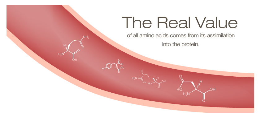 Why Amino Acids are Better for Your Skin Than Protein 3 Amino acids in the blood stream