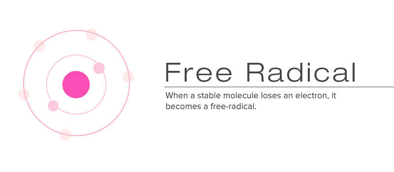 A Better Hand, Foot & Body Lotion: Simply Better Skin Care's™ - Total Body Moisturizing Lotion 2 Free Radical