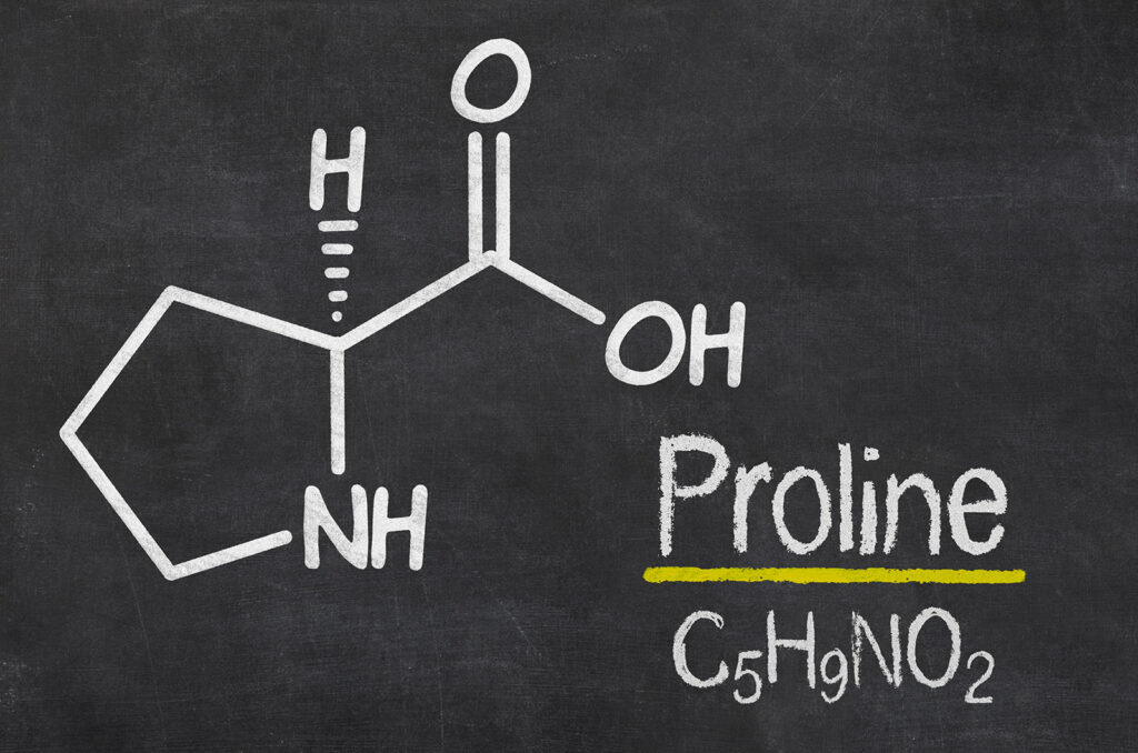 L-proline - in skin care