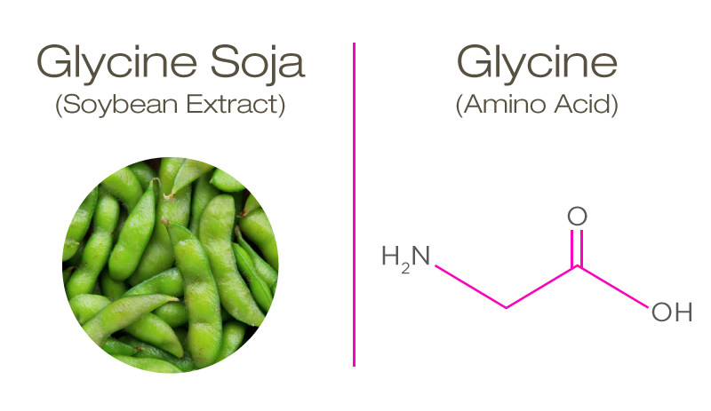 Glycine: The Anti-Aging MVP Your Skin's Been Waiting For 1 glycine-soja